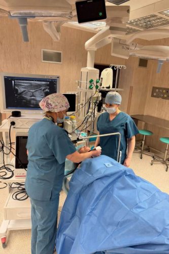 8210e4f2-cfd5-4eff-85c7-eff746c7cd66