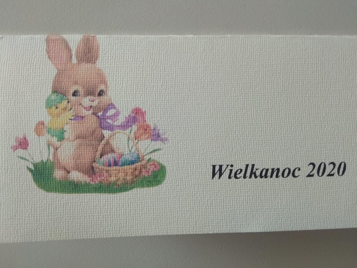 92795444 2556573344591696 1076506773621309440 n